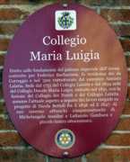 convitto Maria Luigia - Parma