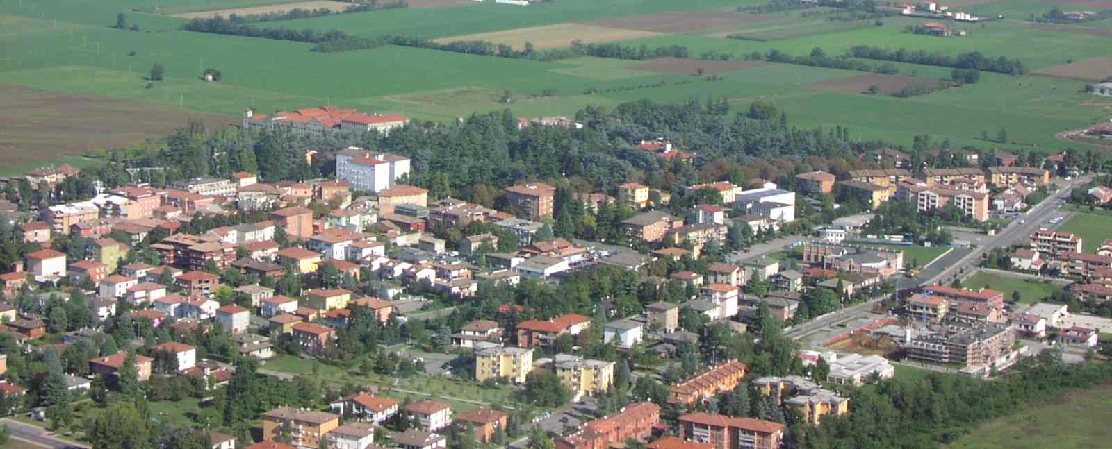 monticelli 