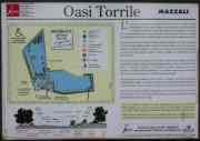 oasi torrile