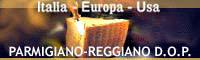 parmigiano-reggiano