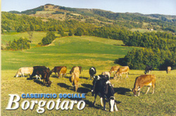 logocaseificioborgotaro